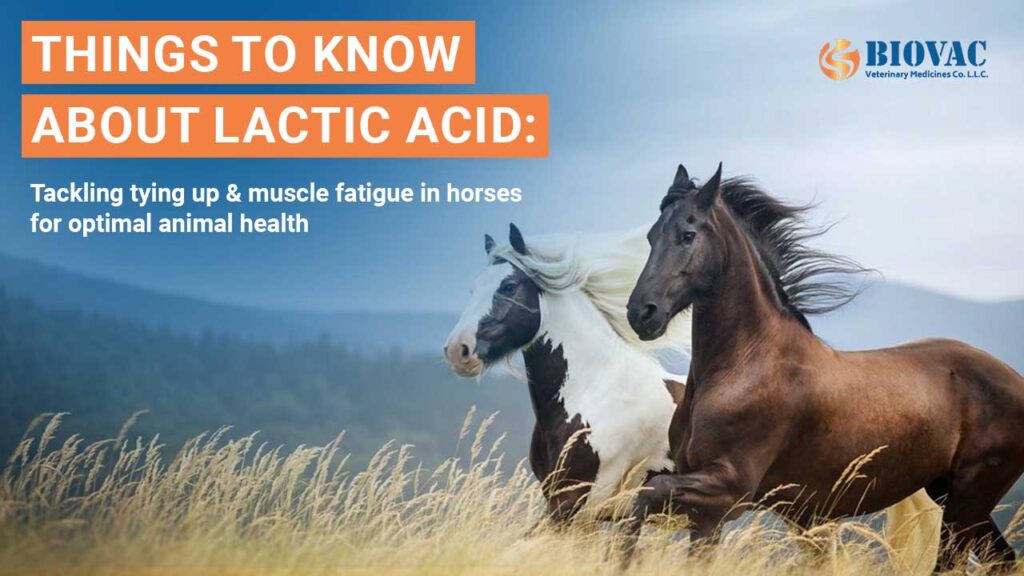 Things To Know About Lactic Acid