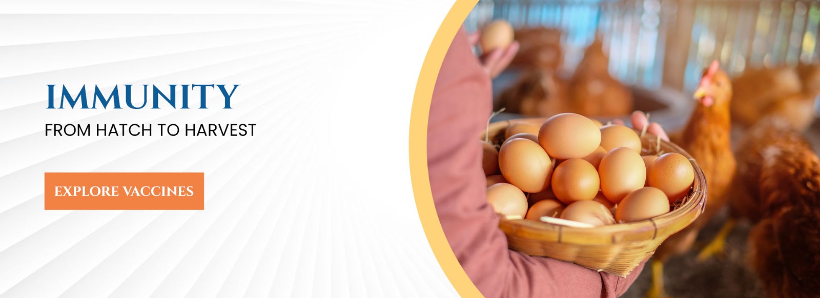 WhatsApp Image 2025-10-24 at 16.51.17_a56563ef