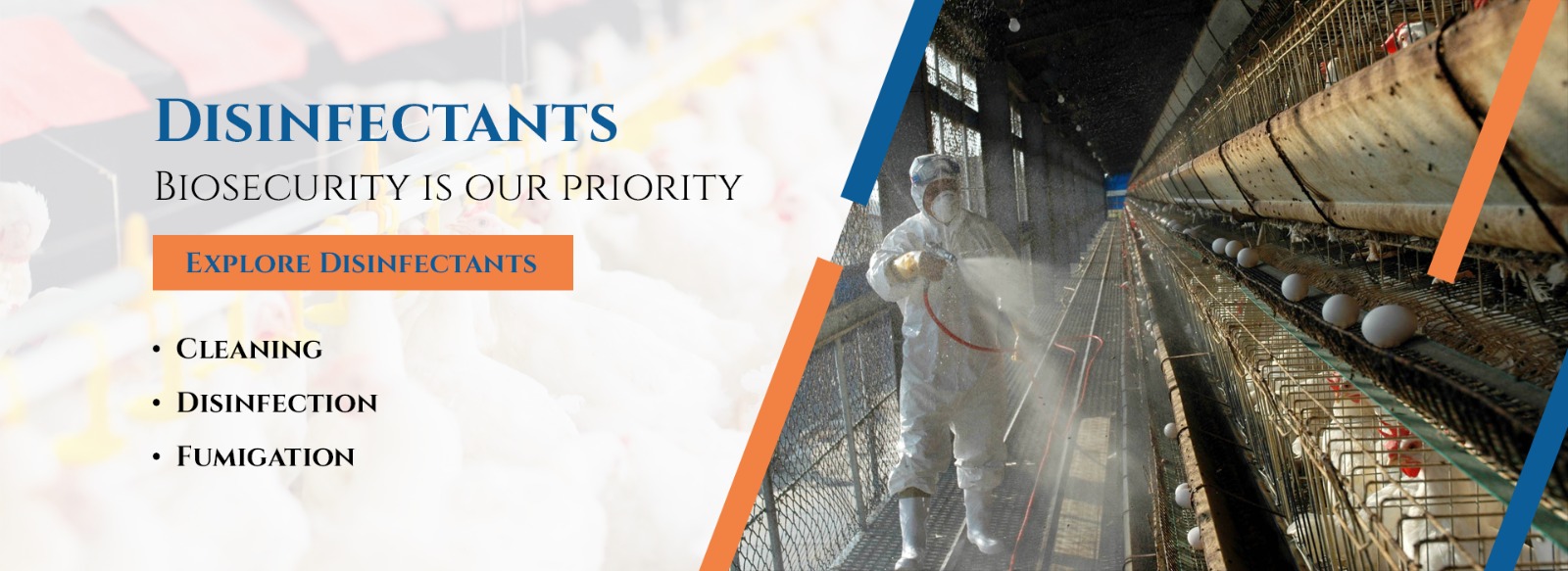 WhatsApp Image 2025-10-24 at 21.05.33_e44f5d21